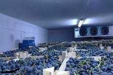 Строительство промышленных Холодильных камер и складов.