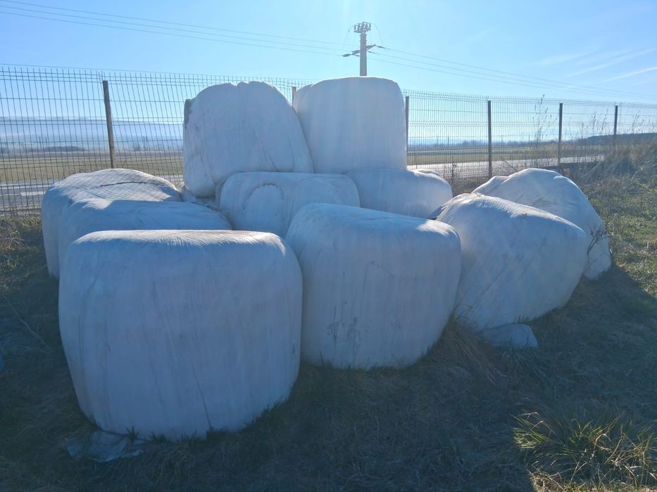 Vând baloti trifoi infoliati