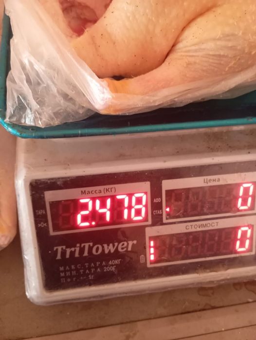 Мясо утки продам