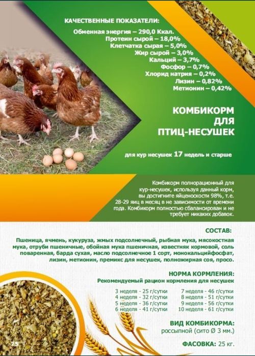 Комбикорм для нескшки