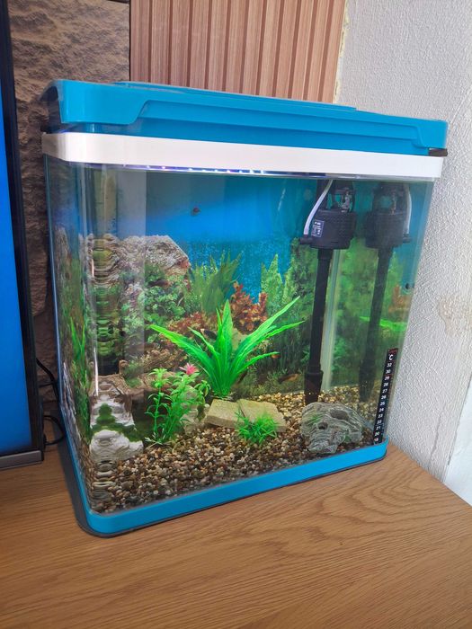 Три аквариума комплект с рибки