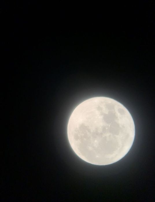 Телескоп CARSON X