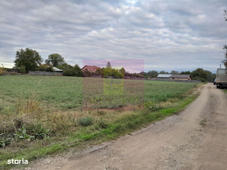 Cosereni (Il) - Se Vinde Teren 2000 Mp La Sos Bucuresti -Urziceni