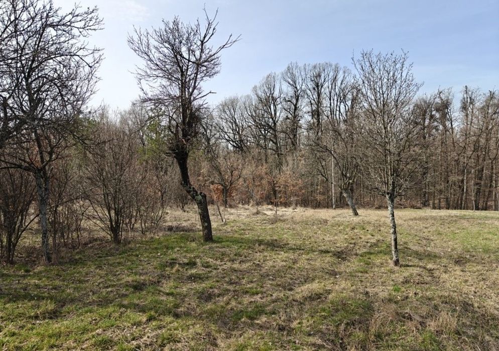 Teren Intravilan 1.472 mp Cotmeana - Lintești, Ag.