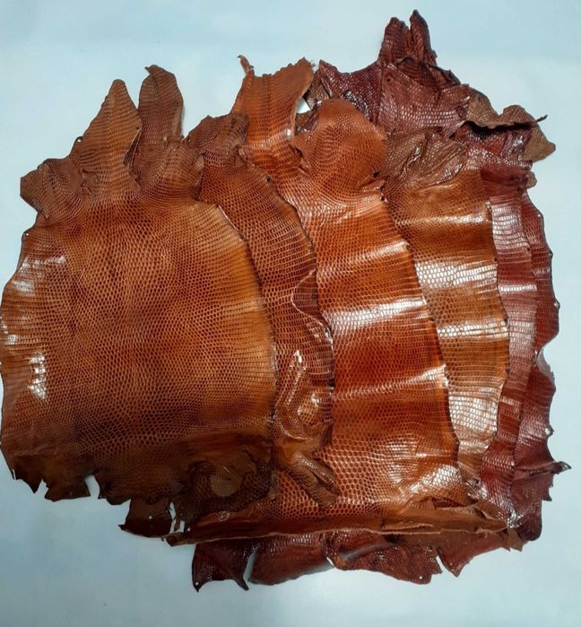 Curea ceas din piele soparla