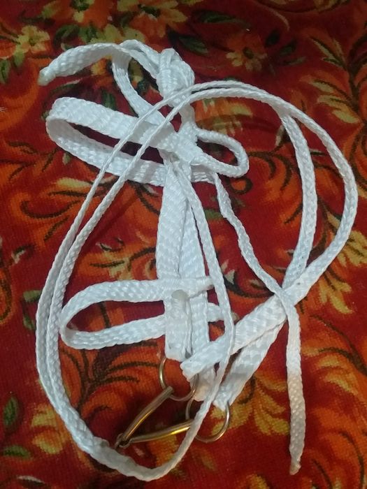 Продам Ноқта (недоуздок)