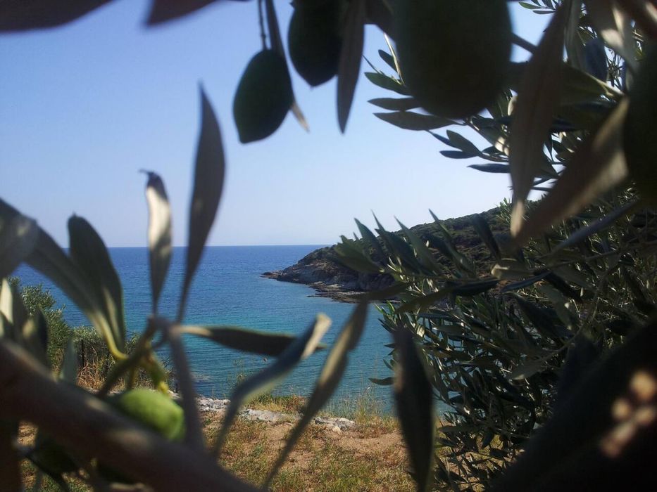 Вила на Неа Перамос