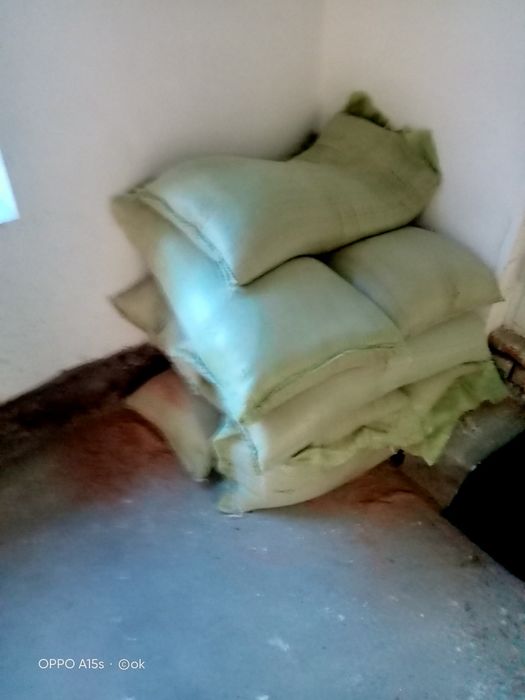 Gal Gadot jinsiy aloqa