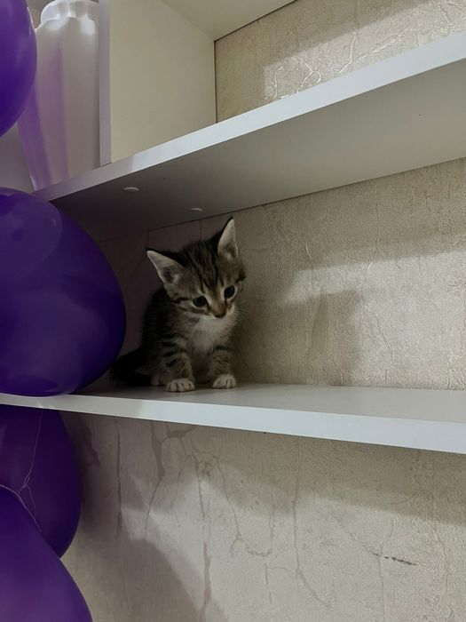 Дарим радость в дом!