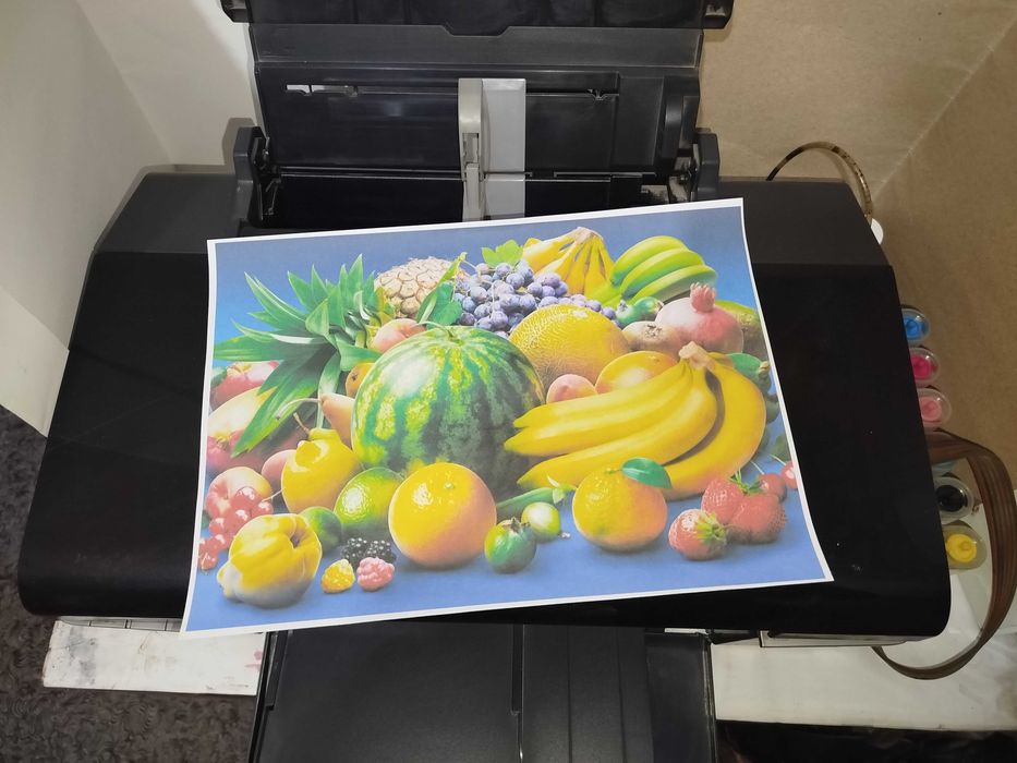 Epson T50 Ranglik printer 6ta rang