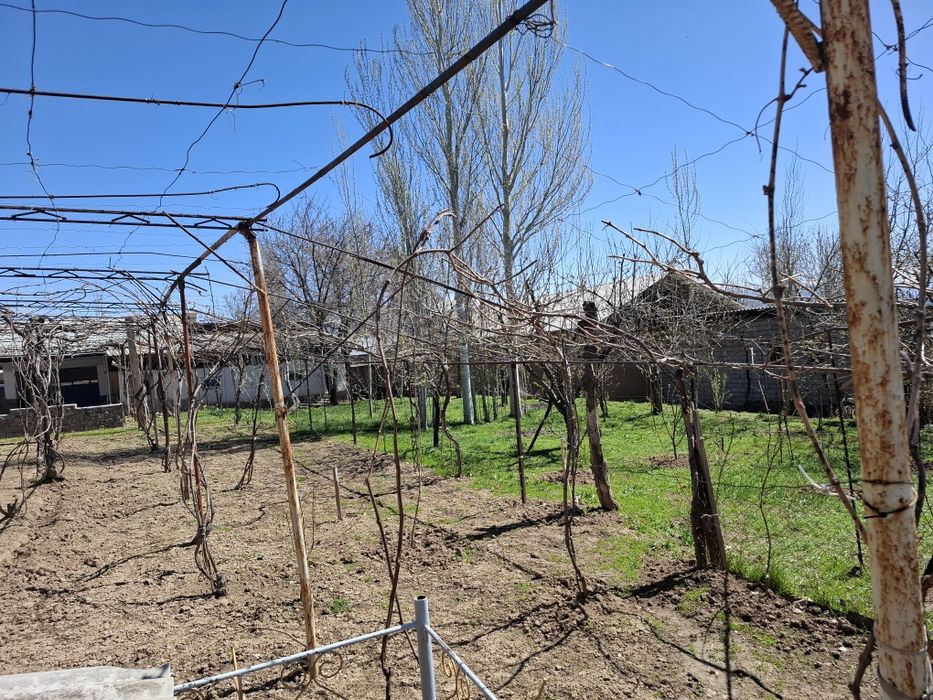 8 sotik yer oqtosh sanatoryaga 3 km uzolida yer sotiladi