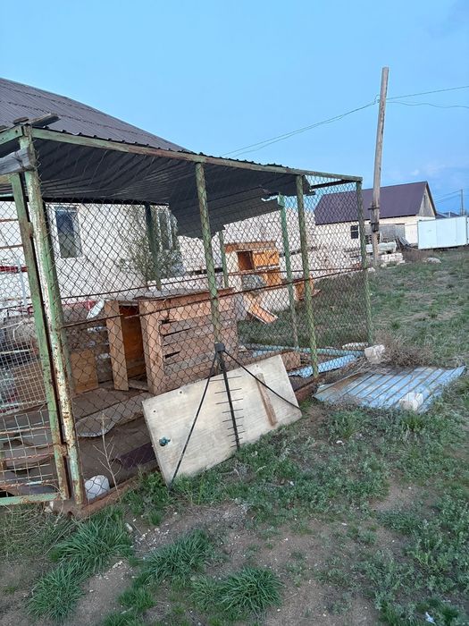 Продам для собак