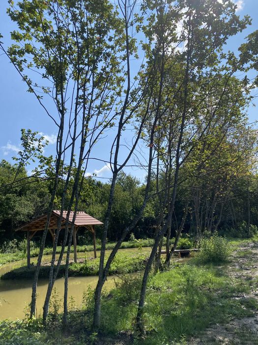 Teren de vanzare cu lac