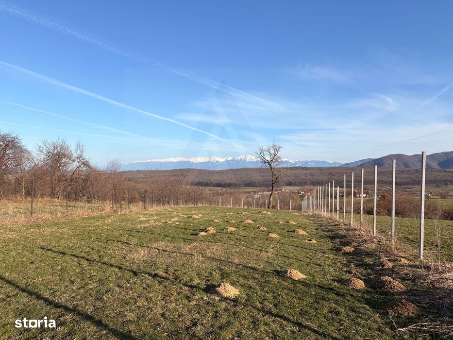 Teren 809 mp intravilan în Tropinii Noi zonă în plină dezvoltare