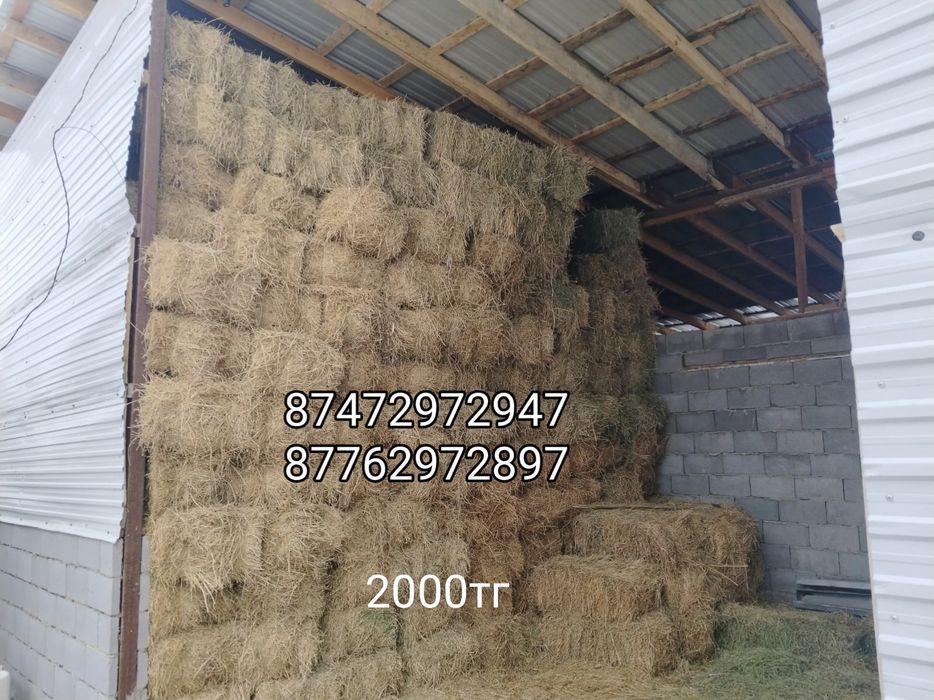 Продается сено ( клевер)