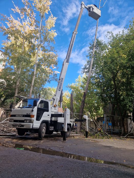 Услуги авто вышки