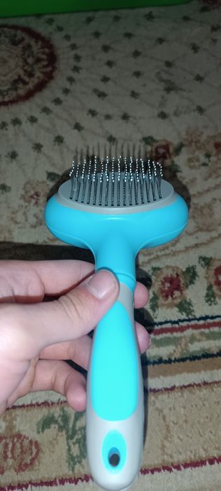 Посуды для кошки: 2 Миски, латок+лопатка, лежанка, расческа, ошейник