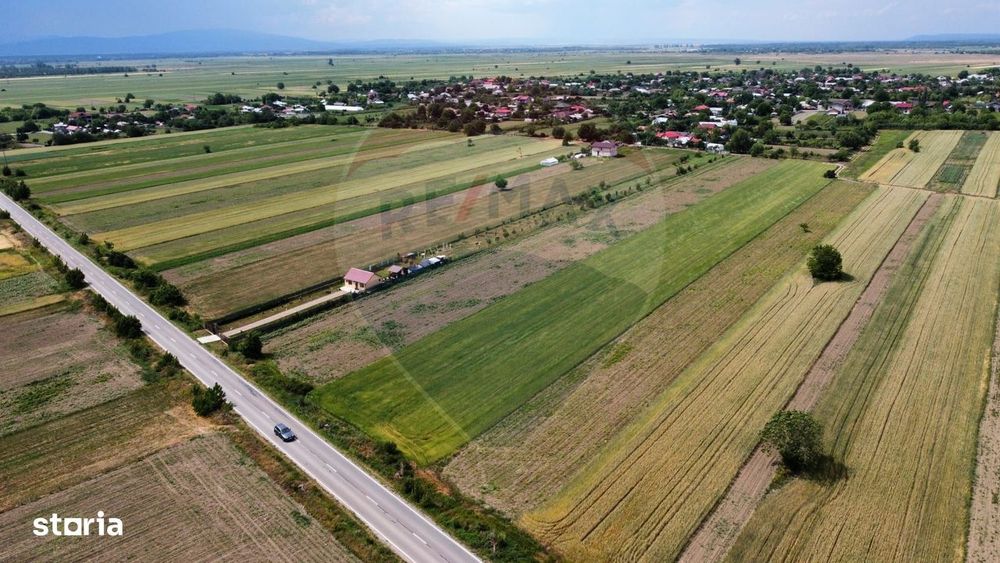 Teren intravilan 6000mp Biliesti / DJ 204D