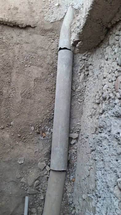 Срочно отдам бесплтано