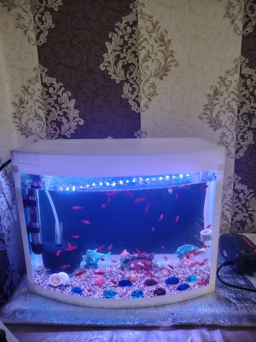 Akvarium 30Litr komplekt