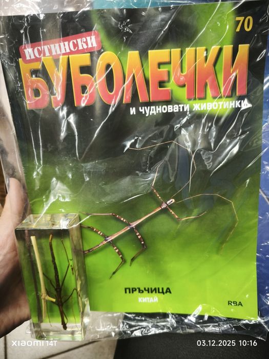 Списание Истински буболечки