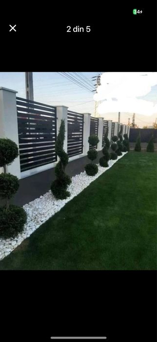 Gazon Dens și Aspect Impecabil