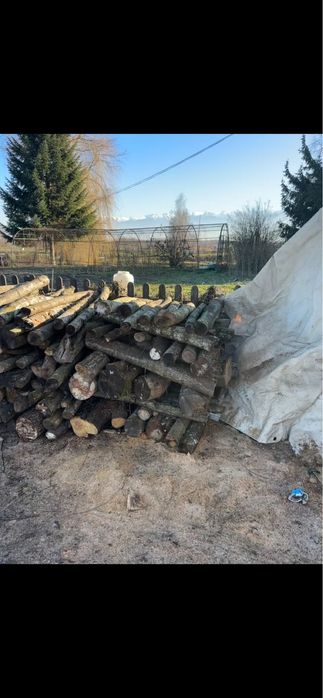 Vand lemne. … USCATE…. amestec de stejar, carpen, maracine, jugastrul.