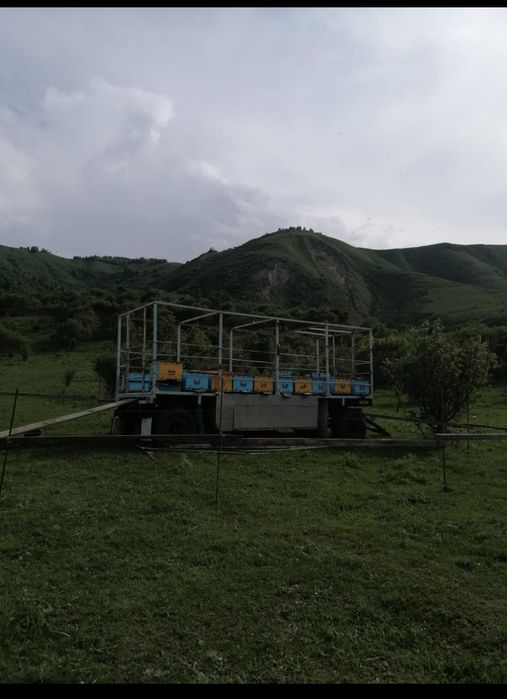 продам пчелопавьлион