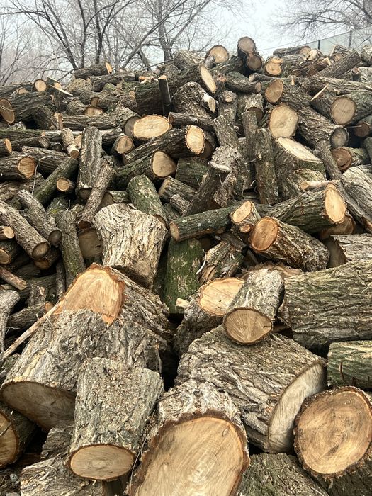 Дрова карагач. Колотые и цельные