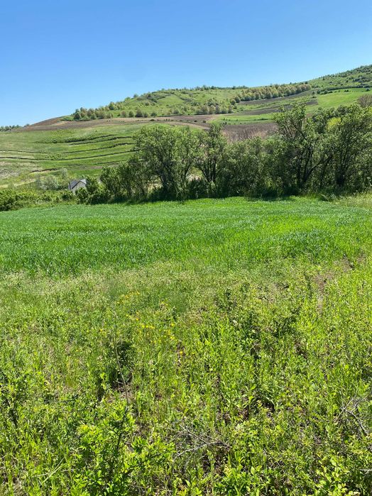Casă de vânzare la țară + teren generos – zonă liniștită, aproape de natură – comuna Buza, jud. Cluj