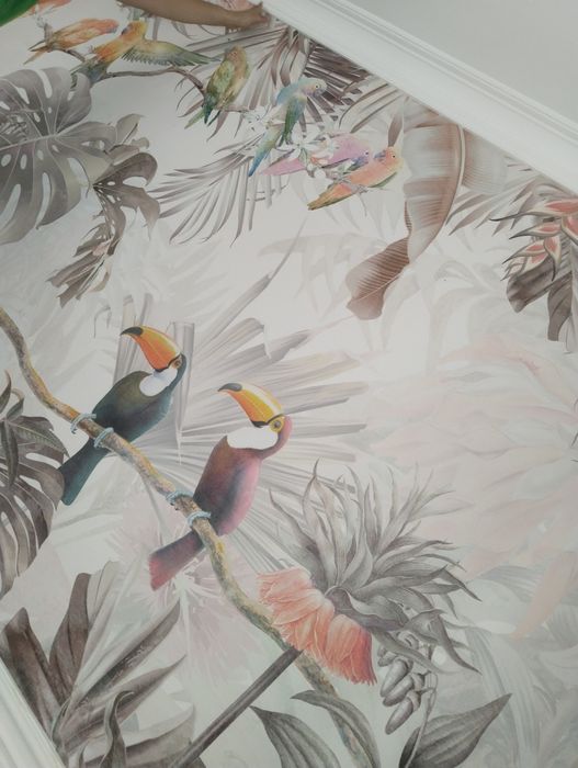 Обой жабыстрамыз