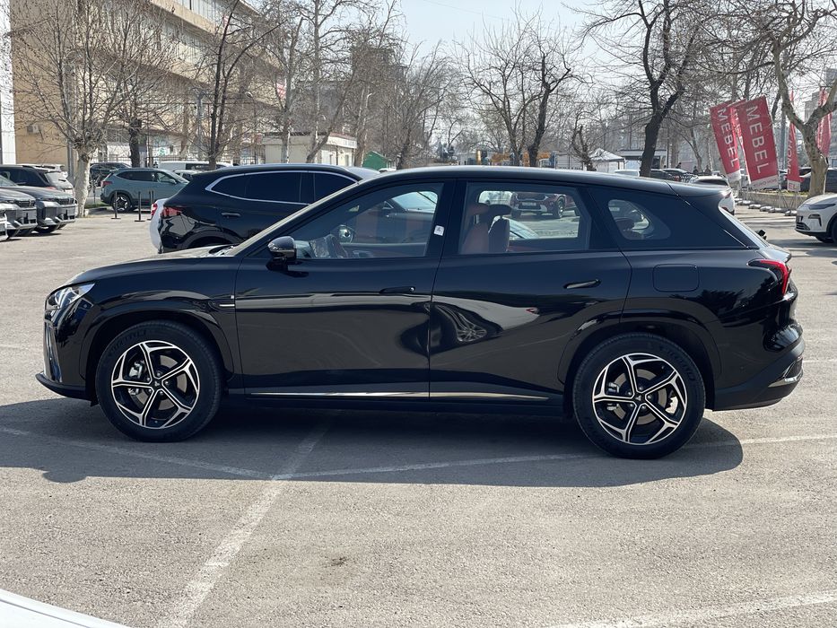 Neta 2024 madel    .