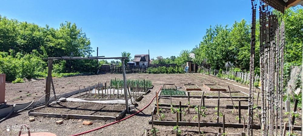 Дачный участок общество ромашка