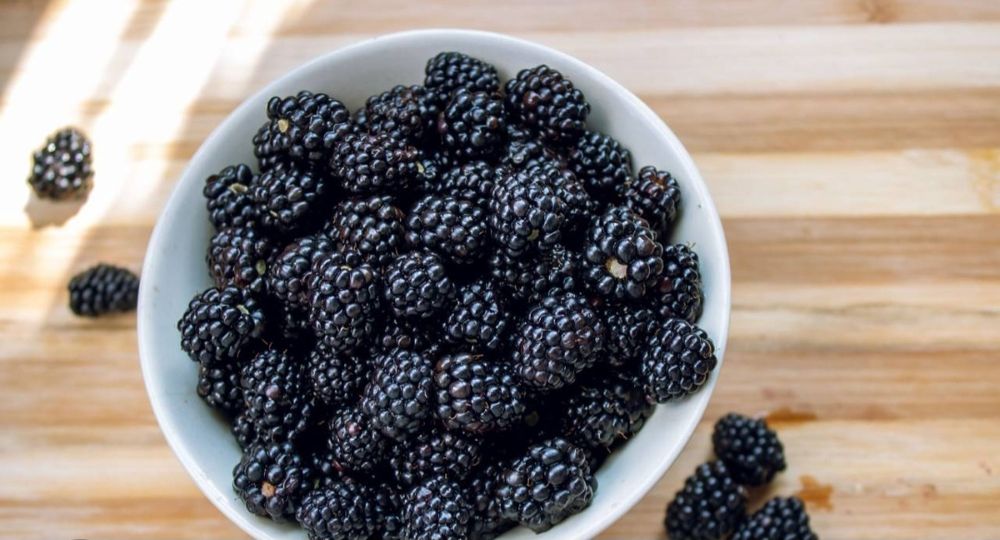 Butasi mure Thornfree