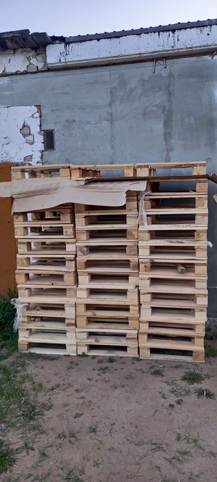 Продам поддоны размер 60×80
