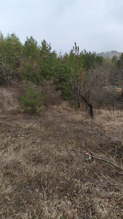Услуги с трактор , багер и самосвал.