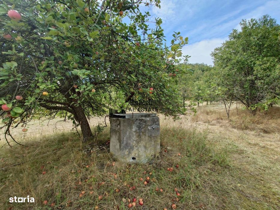 Teren+Casă Mihăileni