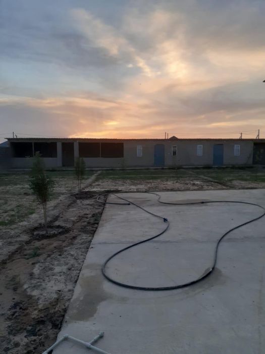 Орда да дайын уй сатылады