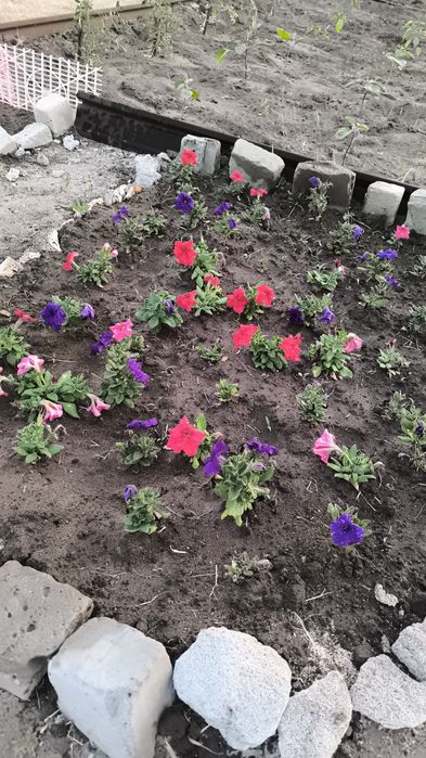 Продам Дачу Сад Здоровье
