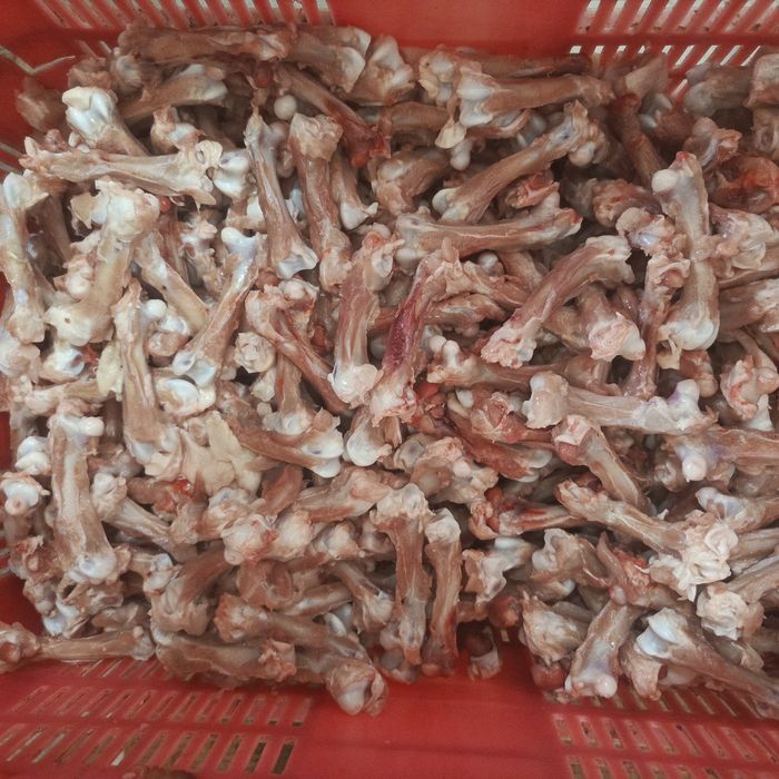 Tovuq suyak yaxshi xolatda