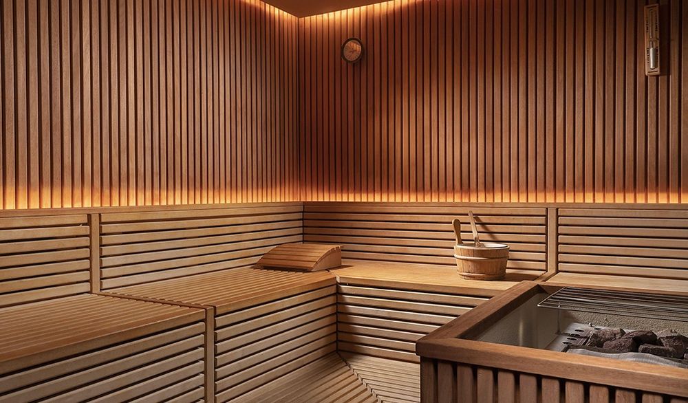 Стропила stropila