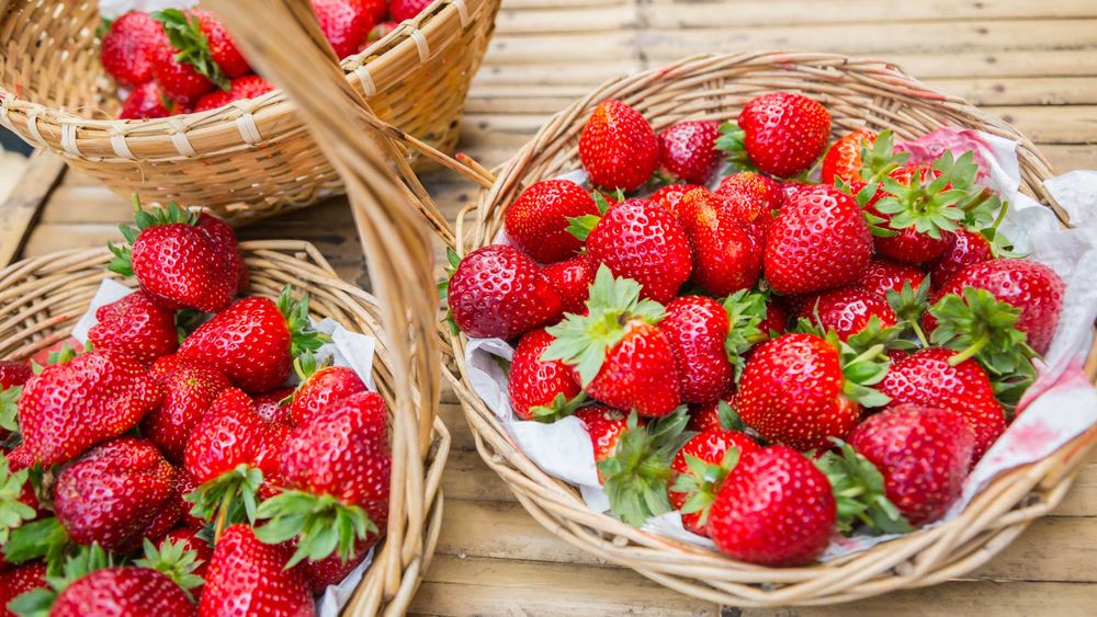 СУПЕР КАЧЕСТВЕН РАЗСАД Ягоди и Малини от Произведител