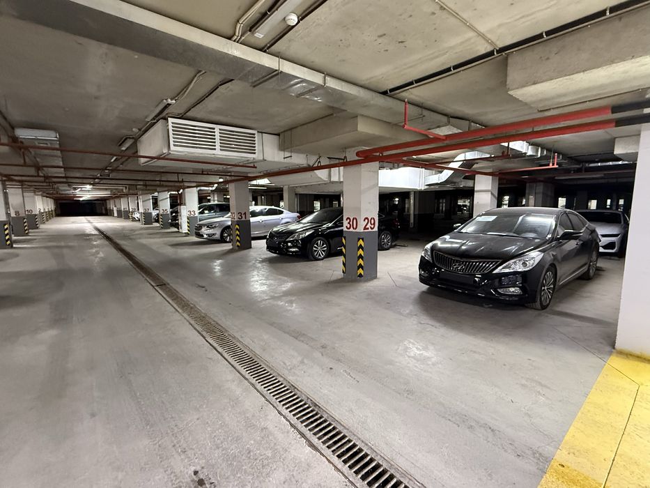 Сдаем 40 мест под автосалон.