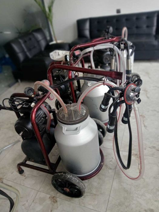 Yalangoch video sohilda busty qizlar