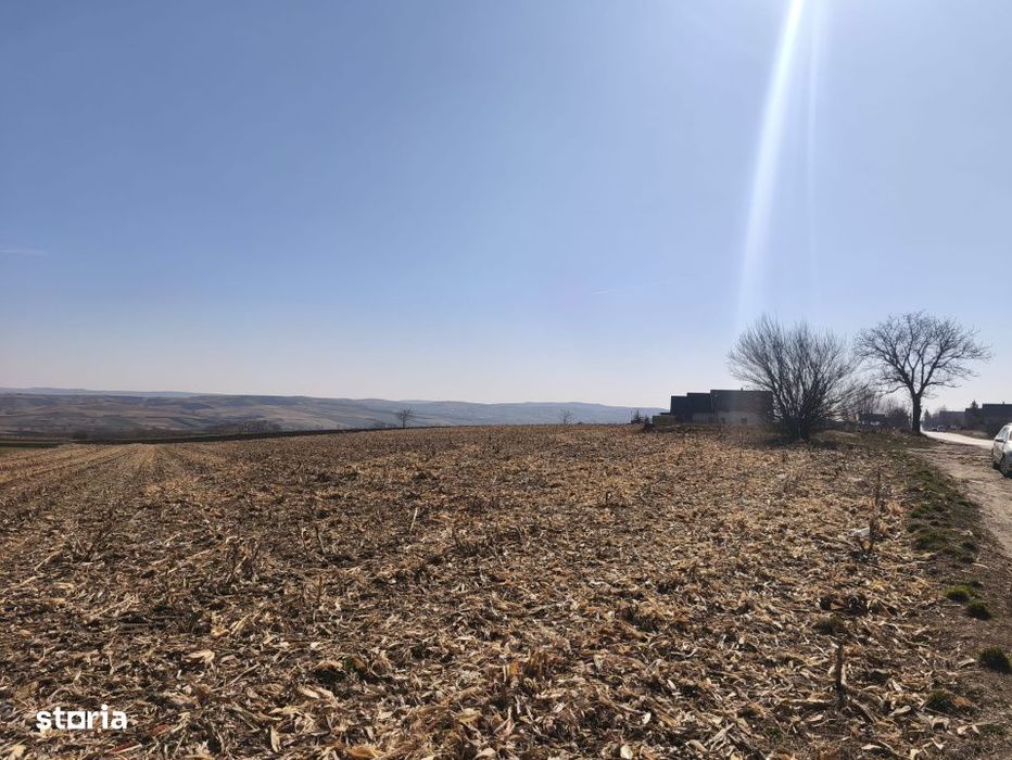 Teren 6500mp, 40ml deschidere la E85, Granicesti, Suceava
