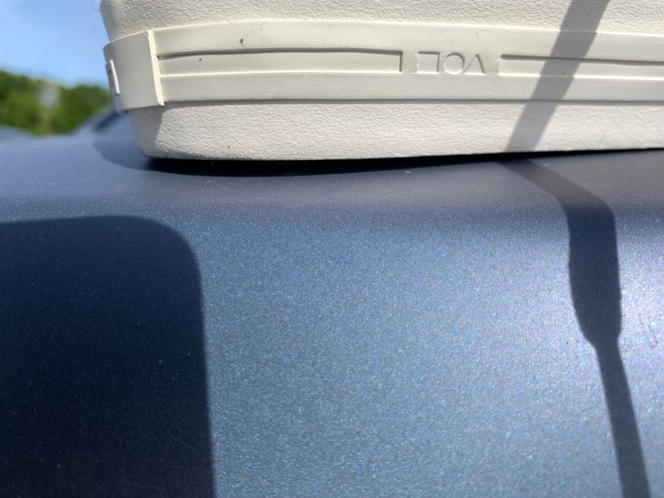 Globe by Squid Games