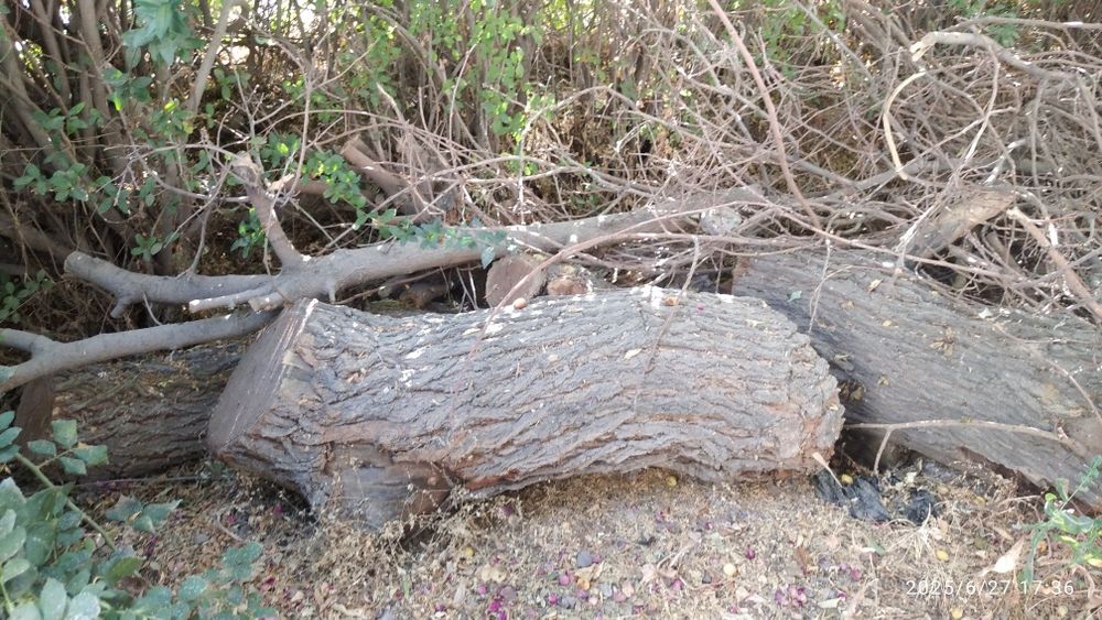 Бир мошин утин сотилади