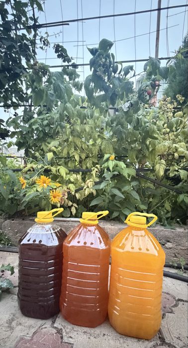 Продам мёд из ВКО. БАЛ.