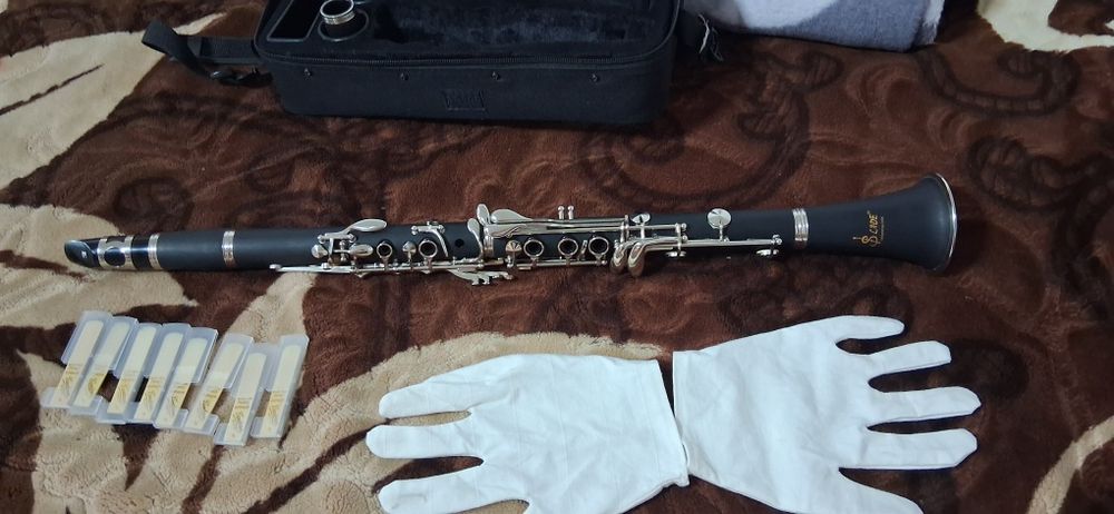 Vand clarine.A fost cumparat de nou.