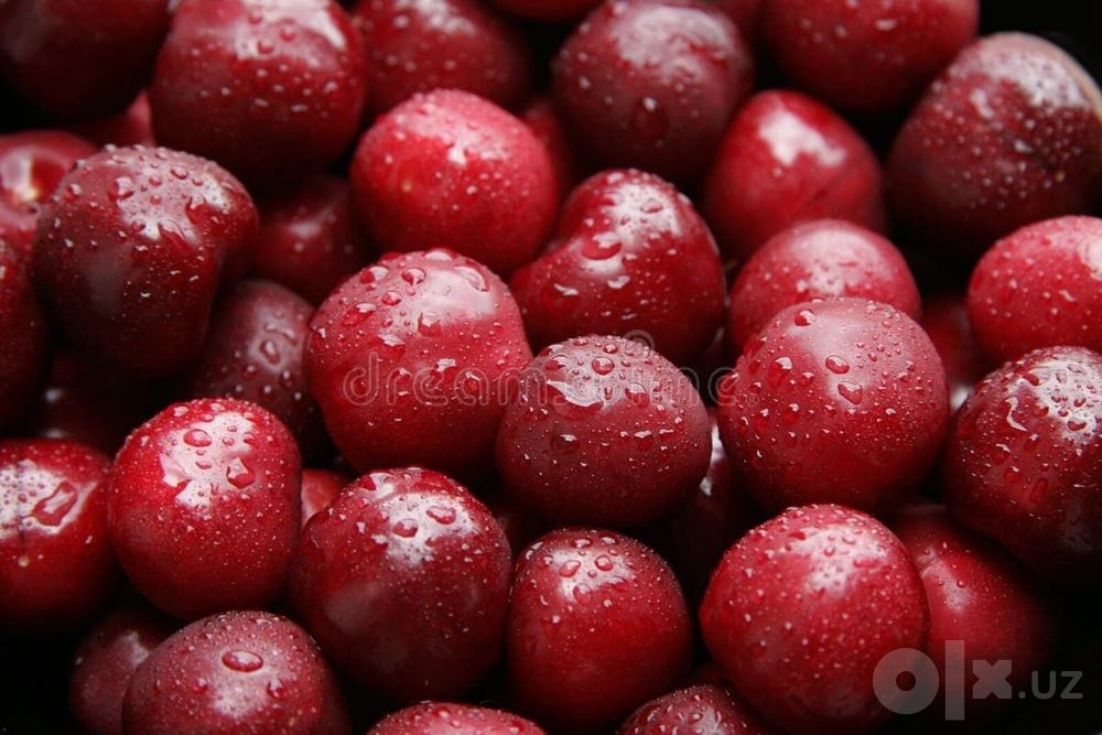 Вишня замороженная (с косточкой)